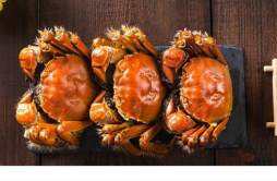 螃蟹可以和红薯同食吗 吃螃蟹要忌什么东西