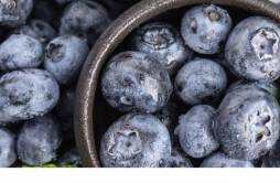 蓝莓怎么存放 新鲜蓝莓可以保存多久