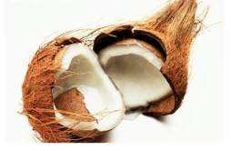 椰子里面的白色果肉可以吃吗 椰果里面白色的肉能吃吗