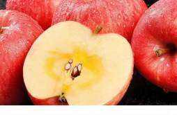吃苹果干的好处和坏处 苹果干和苹果的营养价值一样吗