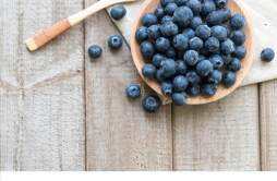 蓝莓洗过之后怎么保存 蓝莓洗了之后能放冰箱吗