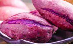 紫薯水煮好还是蒸好 红薯跟紫薯哪个减肥