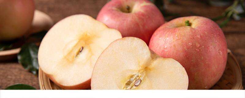 苹果热量高吗减肥期间能吃吗 减肥期间可以吃大量的苹果吗