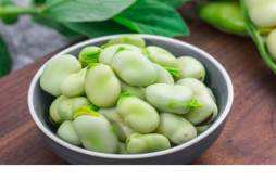 蚕豆的嘌呤含量是多少 痛风可以吃蚕豆吗