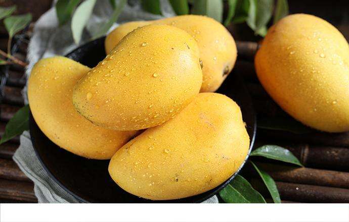黄芒果是硬的可以吃吗 芒果吃软的还是硬的
