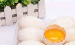 鹅蛋排毒是真的吗 鹅蛋能去胎毒是真的吗