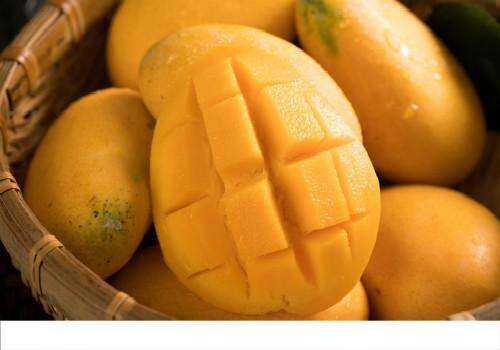 芒果可以空腹食用吗 空腹吃芒果好吗