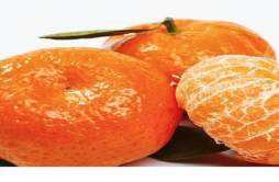 橘子有化痰止咳的效果吗 橘子怎么烤着吃治咳嗽