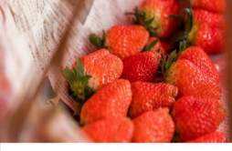 草莓吃多了会发胖吗 一天吃多少草莓合适