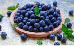 蓝莓外面白色的能吃不 蓝莓表面的白色是什么
