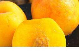 黄油桃湿热吗 湿气重能吃黄桃吗