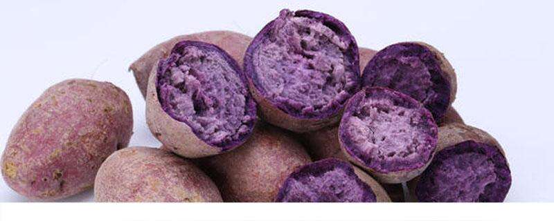 紫薯和土豆能一起吃吗 紫薯和土豆同食需注意！