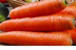胡萝卜和什么蔬菜搭配好 胡萝卜可以放冰箱吗