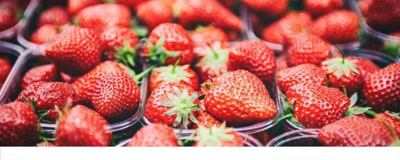 吃草莓可以补充维生素吗 草莓买什么样的好