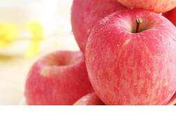 来月经的时候可以吃苹果吗 经期吃苹果有什么好处