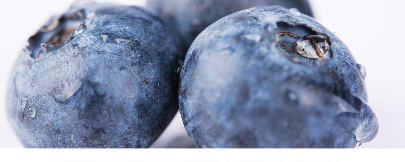 蓝莓可以放几天 冰箱里的食物可以放多久