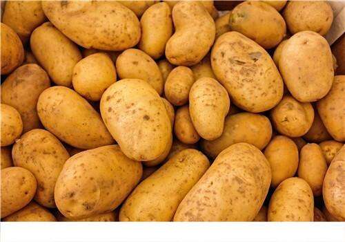 怎么吃土豆才能减肥 土豆的5种吃法
