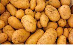 怎么吃土豆才能减肥 土豆的5种吃法