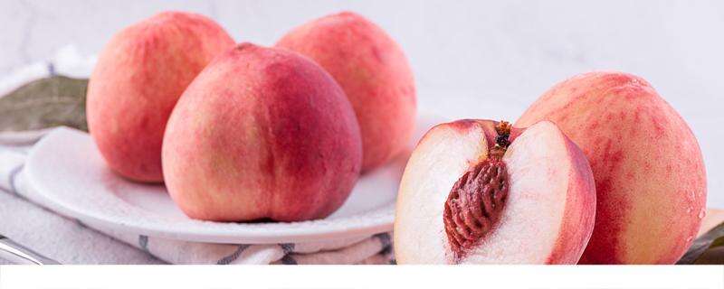 减肥的时候吃桃会不会胖 晚上饭后吃桃子会不会胖