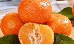 饭后吃橘子有减肥效果吗 什么时候吃橘子减肥