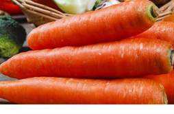 胡萝卜长白色须能吃吗 胡萝卜变质的表现