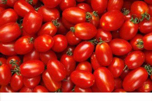 吃圣女果的好处 吃小西红柿对身体的好处