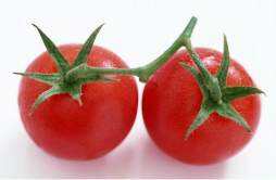 谣言：小番茄是转基因的 小番茄都是转基因