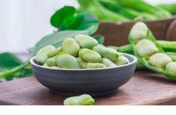 蚕豆过敏是什么原因造成的 蚕豆过敏多久有反应