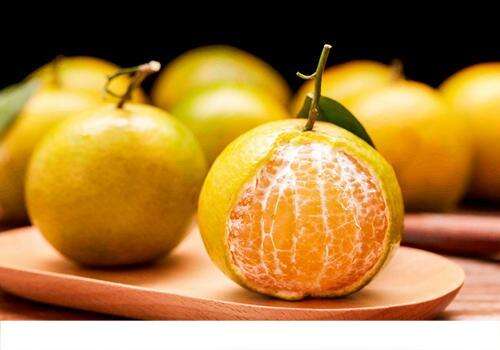 吃完橘子能喝蜂蜜水吗 橘子和蜂蜜水能一起吃吗