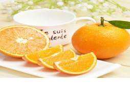 橙子的籽可以吃吗 橙子籽有毒吗