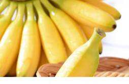 香蕉和胡萝卜能一起吃吗 香蕉和什么一起做辅食