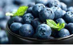 蓝莓和葡萄能一起吃吗 蓝莓不能和什么一起吃