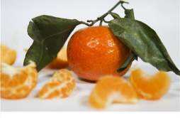 橘子和橙子有什么区别 橙子怎么挑选甜的