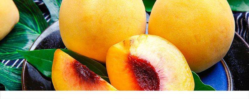 吃黄桃有什么好处 黄桃什么季节成熟