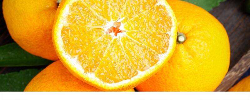 果冻橙热量高吗 果冻橙可以减肥吗