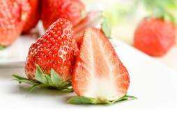 草莓吃多了会怎么样 一天吃多少草莓合适