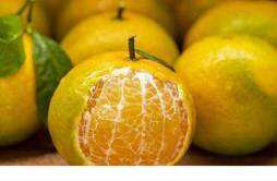 吃橘子牙酸是什么原因 胃不舒服还可以吃橘子吗
