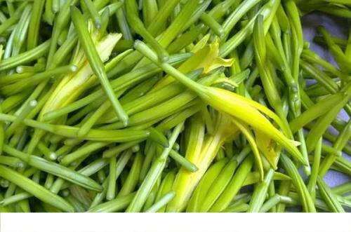 黄花菜的营养价值 黄花菜的营养价值与功效