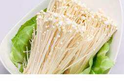 金针菇和豆芽可以一起吃吗 绿豆芽和金针菇的做法
