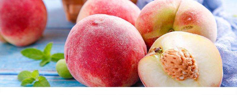 桃子适合放冰箱保存还是常温 桃子怎么保存能放时间长一点