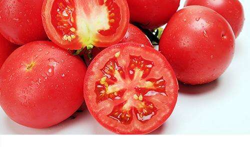 无籽番茄能吃吗 怎么选番茄