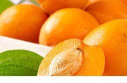 杏子可以做成罐头吗 杏子怎么做罐头