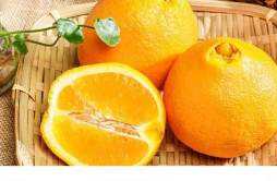 脐橙可以保存多久 脐橙可以止咳化痰吗