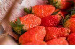 草莓的热量高吗 吃草莓会长胖吗