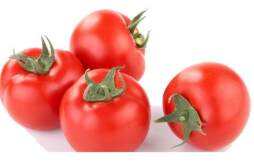 吃番茄有什么好处 酸甜多汁小番茄有助抗癌护健康！