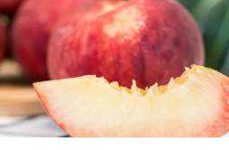 桃子过敏症状有哪些 吃桃子过敏多久能消失