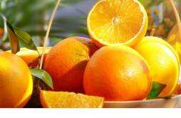 爱媛果冻橙的营养价值及功效 爱媛果冻橙是转基因水果吗