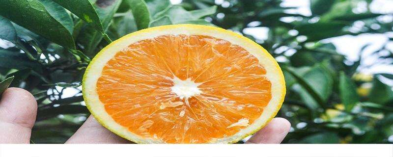 吃橙子可以减肥吗 橙子热量是多少