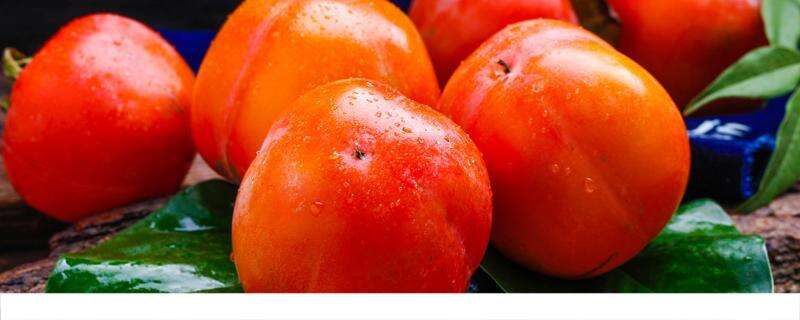 脆皮柿子和什么不能一起吃 脆柿子每天吃几个好