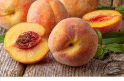 水蜜桃和毛桃的区别 水蜜桃和毛桃的区别?怎么区分水蜜桃和毛...